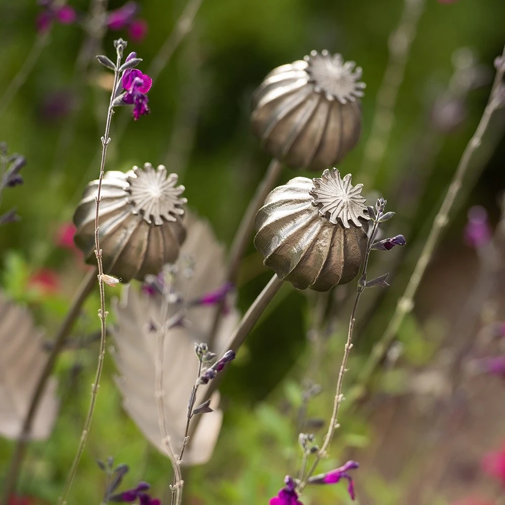 Poppy Seed Head Stake - Large Seed Head 8 Poppy Seed Head Stake - Large Seed Head - Image 8