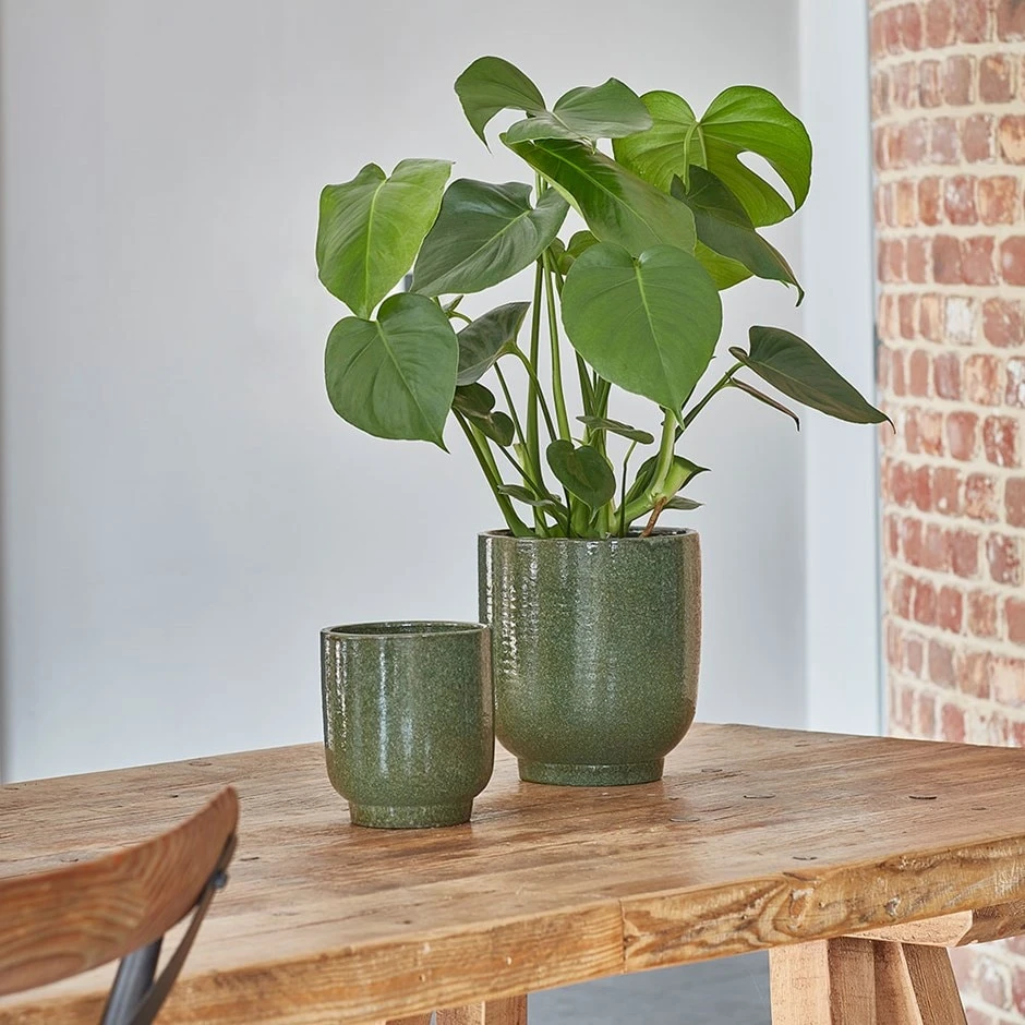 Reactive Glaze Plant Pot - Forest Green 1 Reactive Glaze Plant Pot - Forest Green