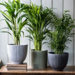 Ribbed Terracotta Plant Pot - Dark Grey 5 Ribbed Terracotta Plant Pot - Dark Grey -Plant Verdant Sales pr2000047103 card3 lg