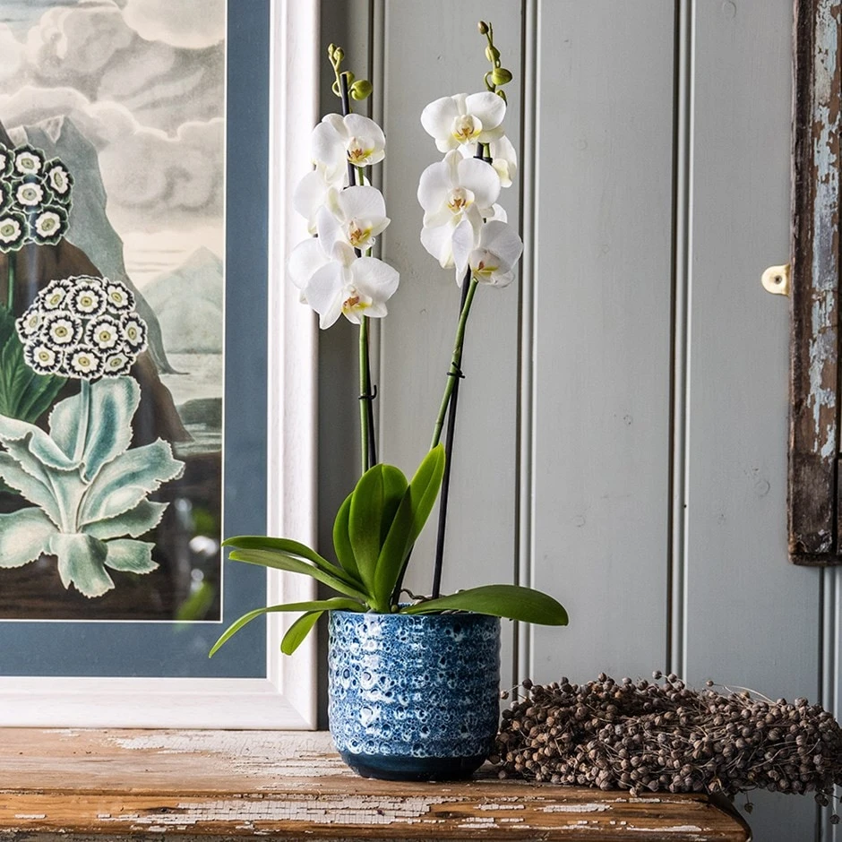 Reactive Glaze Plant Pot - Blue 1 Reactive Glaze Plant Pot - Blue