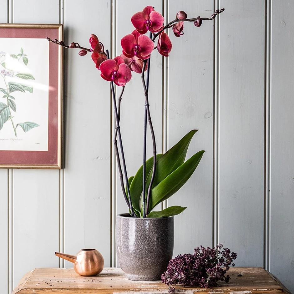 Reactive Glaze Plant Pot - Grey 1 Reactive Glaze Plant Pot - Grey