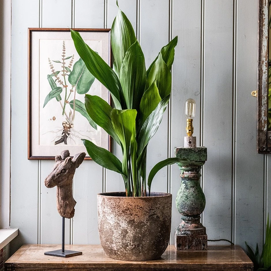 Rustic Plant Pot - Brown 1 Rustic Plant Pot - Brown