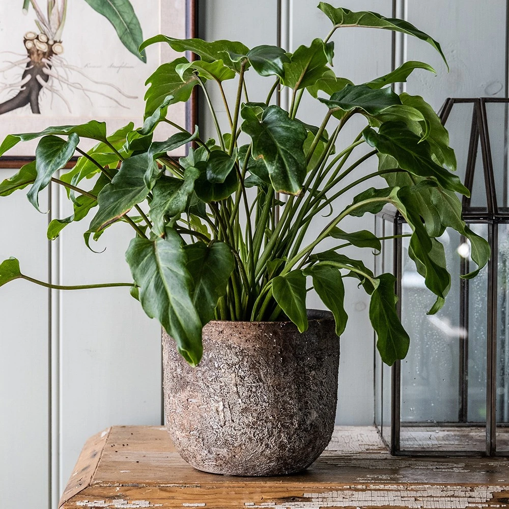 Rustic Plant Pot - Brown 2 Rustic Plant Pot - Brown - Image 2