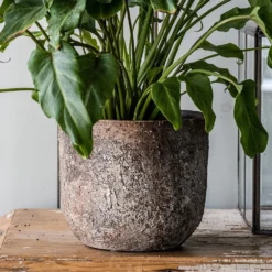 Rustic Plant Pot - Brown 5 Rustic Plant Pot - Brown -Plant Verdant Sales pr2000047913 card4 lg