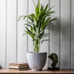 Ribbed Terracotta Plant Pot - Light Grey