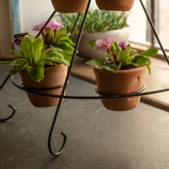 Tiered Plant Theatre - 6 Pots -Plant Verdant Sales pr2000048005 card6 lg