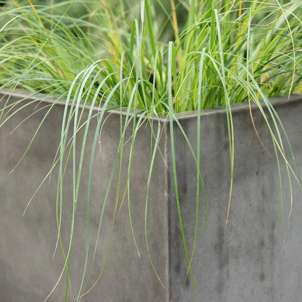 Square Terrace Planter - Weathered Cement 5 Square Terrace Planter - Weathered Cement - Image 5