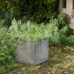 Square Terrace Planter - Weathered Cement 15 Square Terrace Planter - Weathered Cement -Plant Verdant Sales pr2000048722 card7 lg