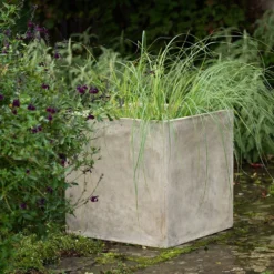 Square Terrace Planter - Weathered Cream -Plant Verdant Sales pr2000048723 card3 lg