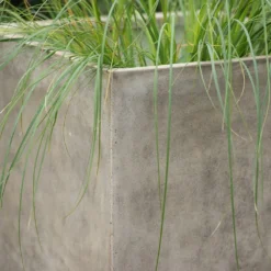 Square Terrace Planter - Weathered Cream -Plant Verdant Sales pr2000048723 card5 lg