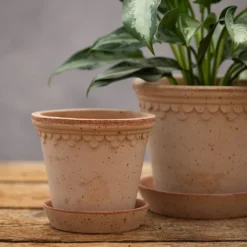 Scalloped Tapered Plant Pot With Saucer - Terracotta -Plant Verdant Sales pr2000049052 card4 lg