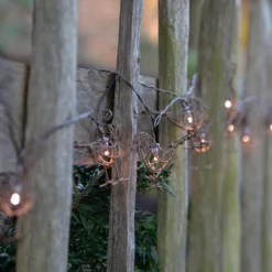 Solar Robins String Lights Warm White -Plant Verdant Sales pr2000049109 card4 lg