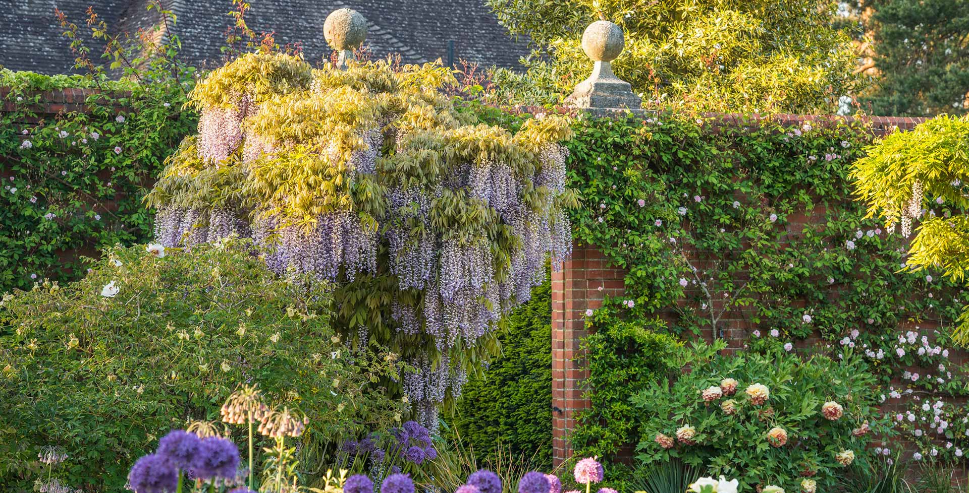 Plant Verdant Sales -Plant Verdant Sales 13